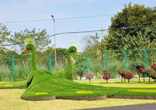 長(zhǎng)頸鹿仿真綠雕造型現(xiàn)貨批發(fā)價(jià) 成都仿真綠雕專(zhuān)業(yè)定制廠家