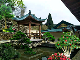 禪意-園林景觀工程