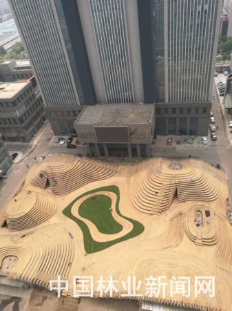 國(guó)內(nèi)最大城市竹制景觀工程竣工 自然與城市的完美融合