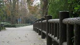 南京藝金園景觀工程的產品特點