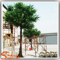 廠(chǎng)家直銷(xiāo)仿真植物榕樹(shù) 開(kāi)啟景觀工程新篇章